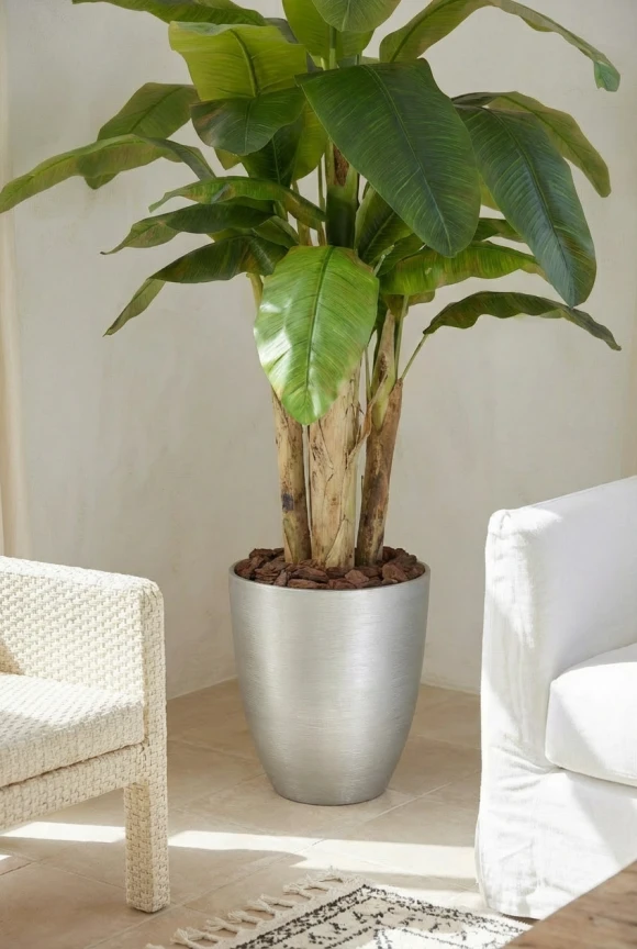 Artificial Banana Tree in Silver Buxley Pot - 140cm