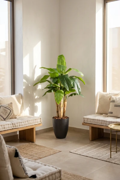 Artificial Banana Tree in Charcoal Buxley Pot - 140cm