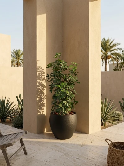 Outdoor Artificial Pittosporum in Black Easington Pot - 120cm