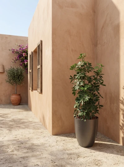 Outdoor Artificial Pittosporum in Charcoal Buxley Pot - 120cm