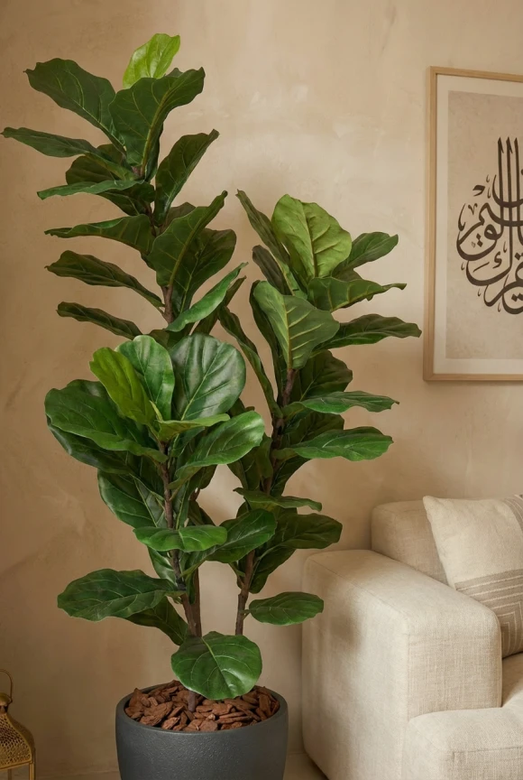 Artificial Fiddle Leaf in Black Easington Pot - 150cm