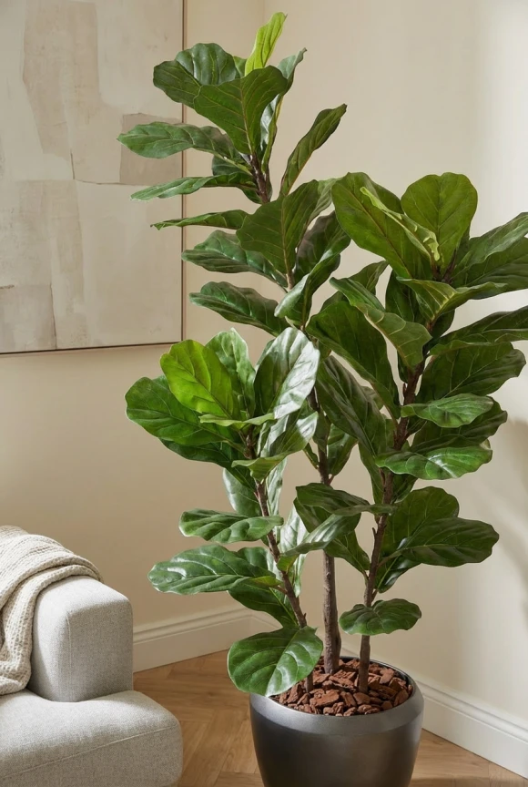 Artificial Fiddle Leaf in Slate Earle Dumpy Pot - 150cm