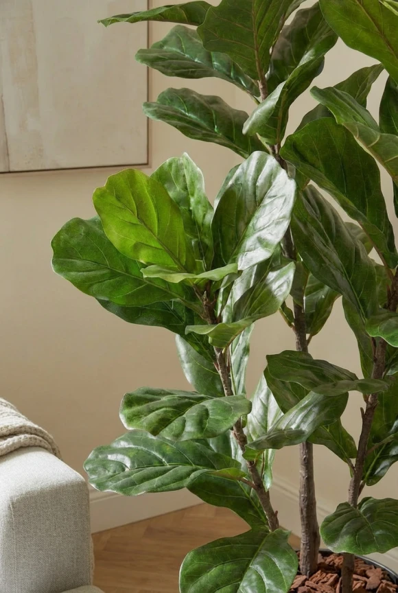 Artificial Fiddle Leaf in Slate Earle Dumpy Pot - 150cm