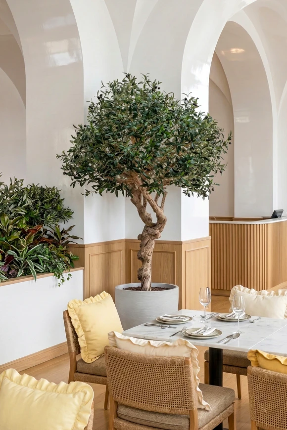 Image of Artificial Olive Tree on Single Stem Coffee Trunk - 180cm