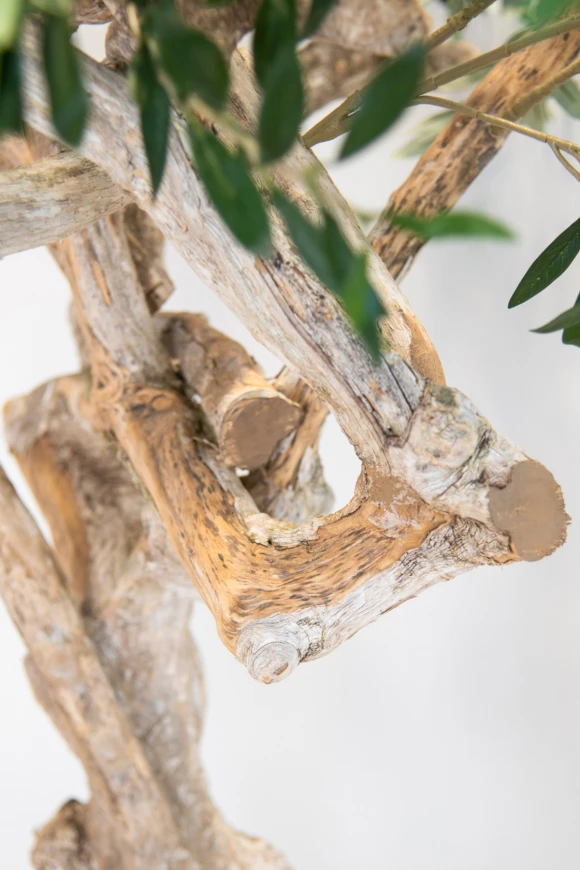 Image of Artificial Olive Tree on Single Stem Coffee Trunk - 180cm