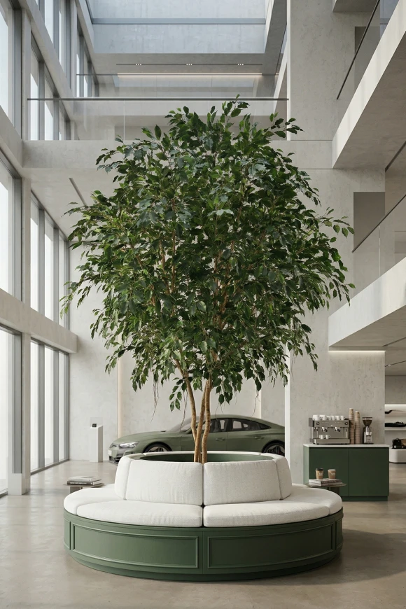 Image of Artificial Ficus Tree on Natural Multi Stems - 500cm