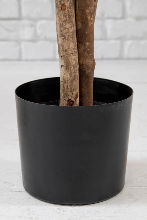 Image of Artificial Oriental Olive Tree on Natural Multi Stems - 400cm