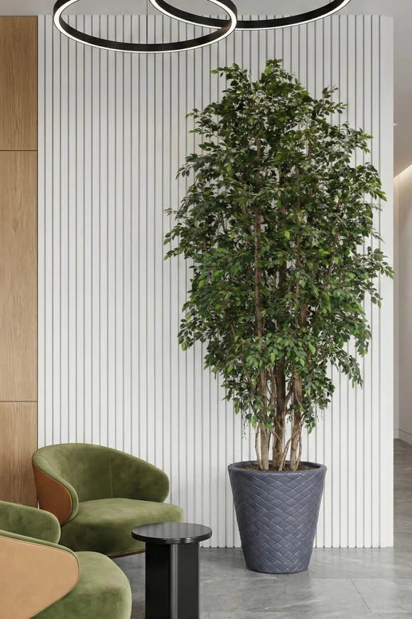 Image of Artificial Ficus Natasja on Natural Multi Stems - 350cm