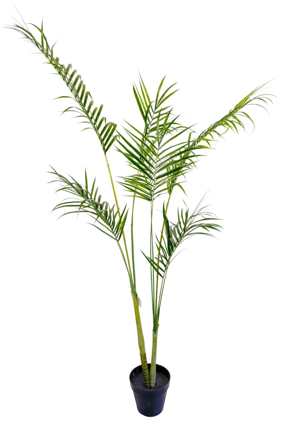 Image of Outdoor Artificial Areca Palm - 190cm