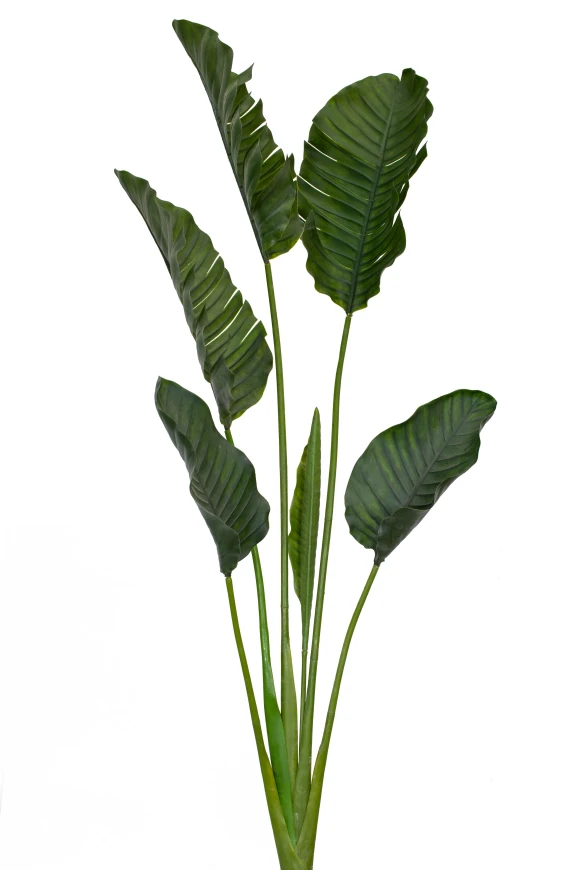 Image of Outdoor Artificial Traveller Palm - 195cm