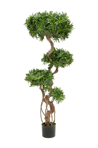 Artificial Podocarpus Cloud - 150cm