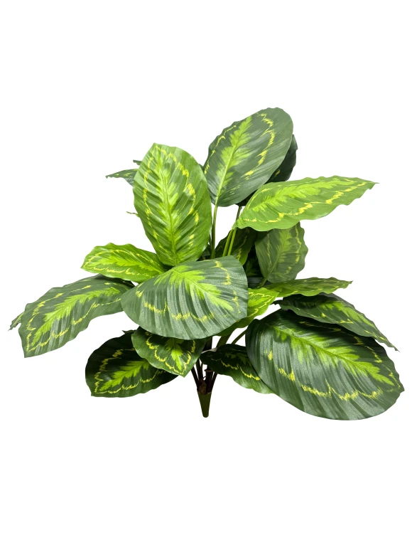 Image of Artificial Calathea - 65cm
