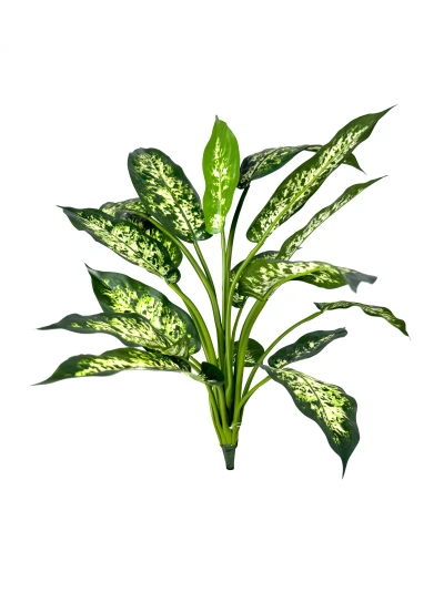 Artificial Dieffenbachia - 65cm