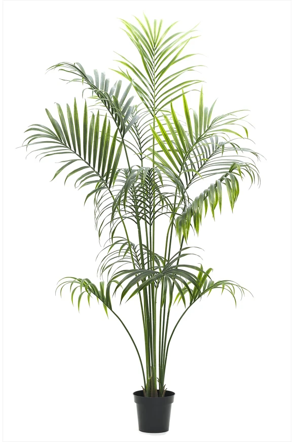 Image of Outdoor Artificial Kentia Palm - 230cm