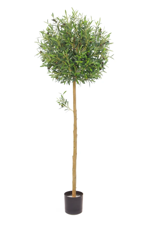 Image of Artificial Olive Ball - 150cm