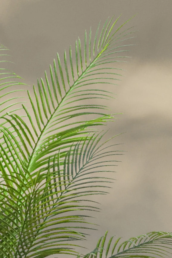 Artificial Areca Palm in Pot - 170cm