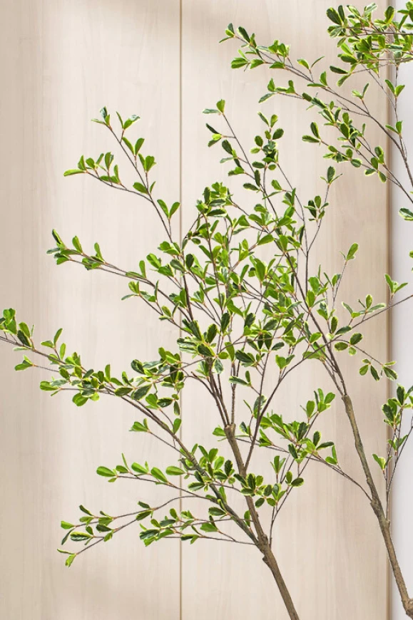 Artificial Bucida Tree in Easington Pot - 210cm