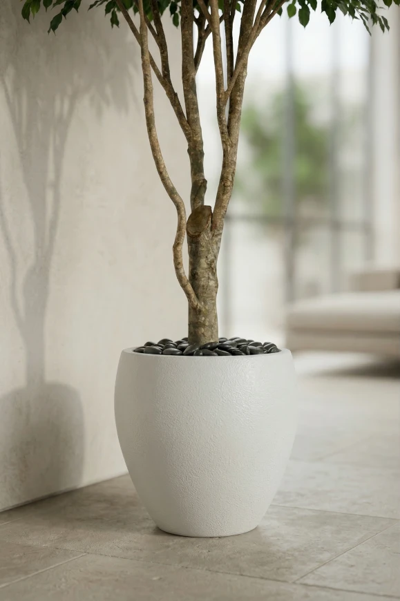 Image of Artificial Ficus Tree in White Easington Pot - 270cm