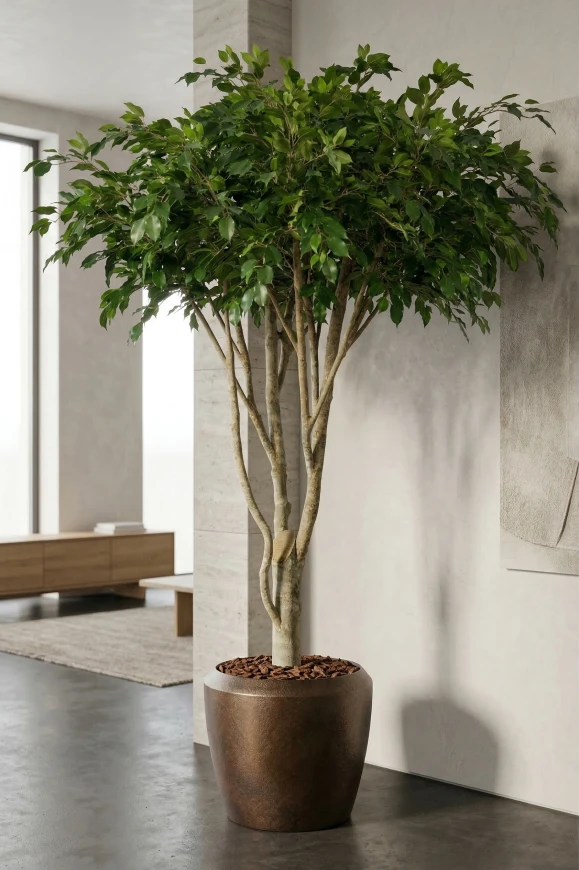 Image of Artificial Ficus Tree in Earle Mocha Dumpy Pot - 270cm
