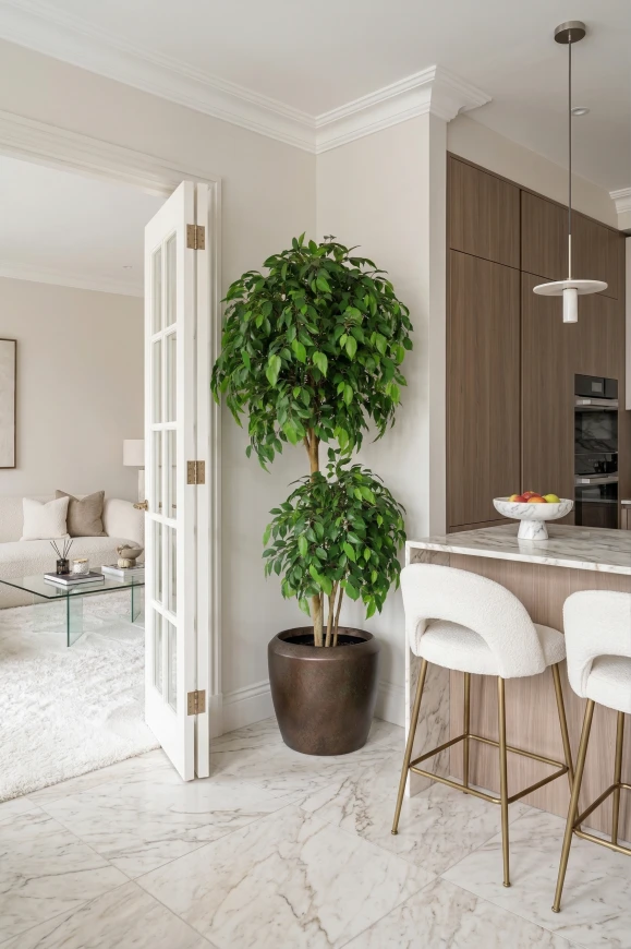 Image of Artificial Ficus Double Ball in Mocha Dumpy  - 185cm