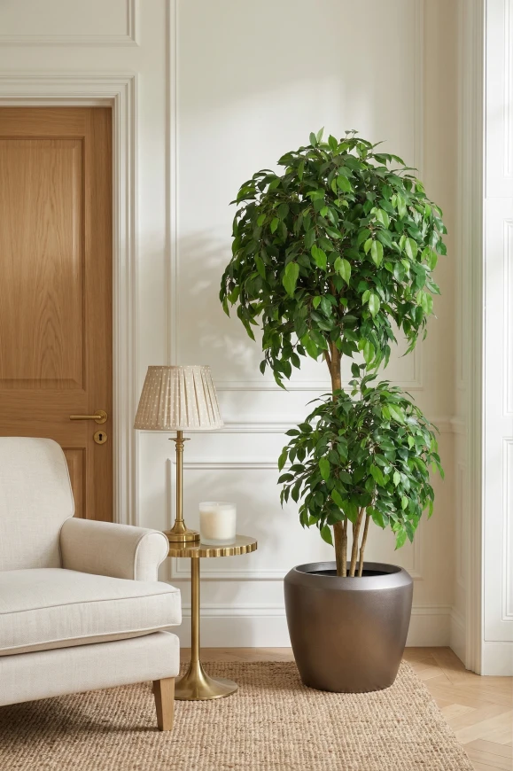 Image of Artificial Ficus Double Ball in Slate Dumpy  - 185cm