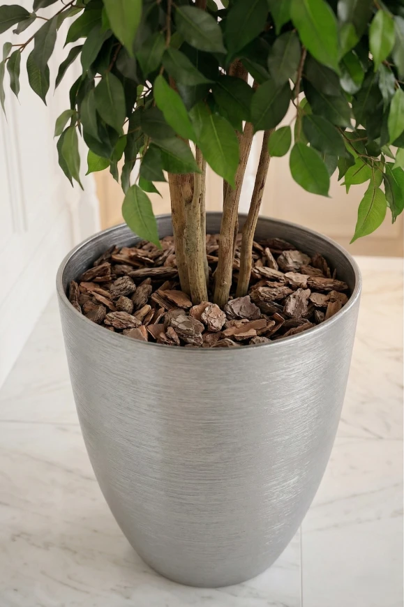 Image of Artificial Ficus Double Ball in Silver Buxley - 185cm