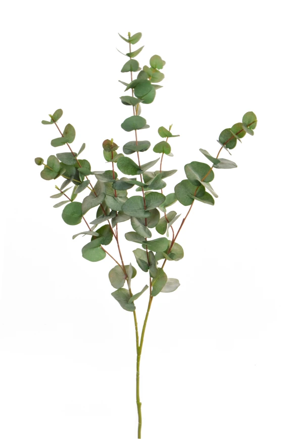 صورة لـ FS Eucalyptus Green GB 100 سم
