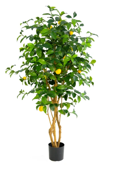 Artificial Lemon Tree - 150cm