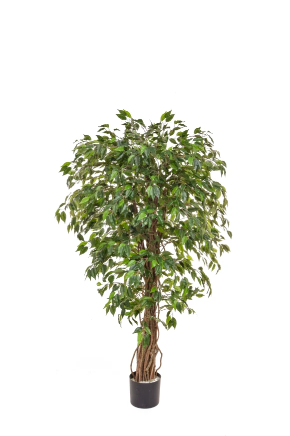 Image of Artificial Ficus Liana - 150cm