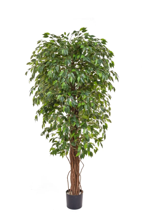 Image of Artificial Ficus Liana - 180cm