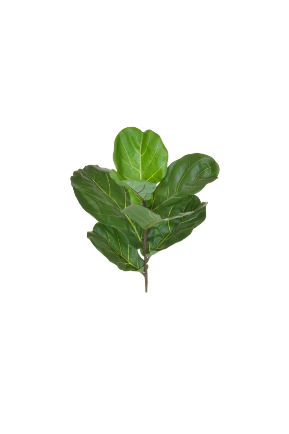 Image of Artificial Fiddle Leaf - 58cm