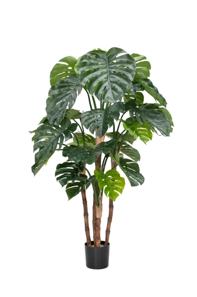 Artificial Monstera - 165cm