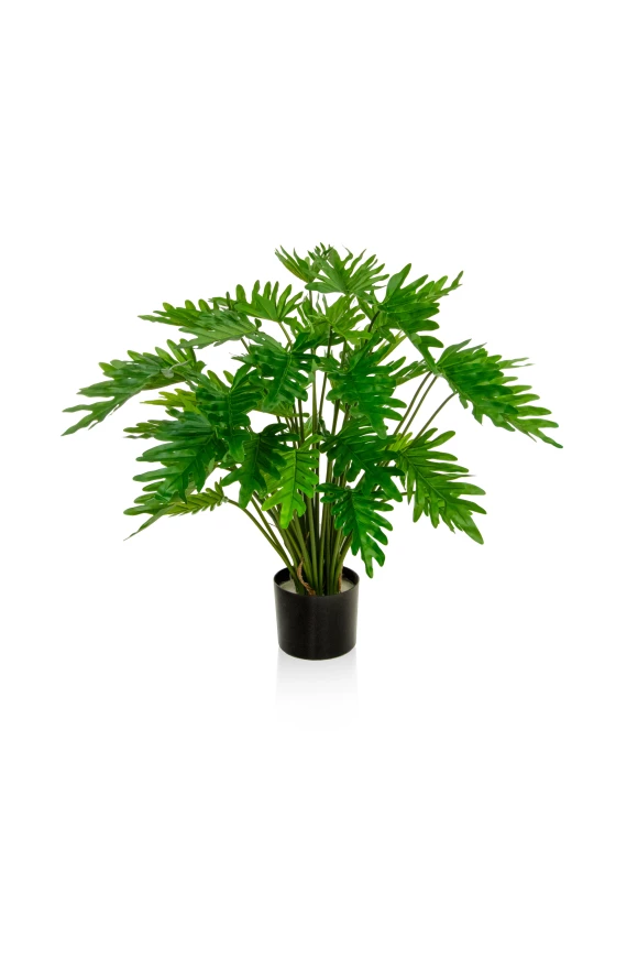 Image of Artificial Philodendron - 75cm