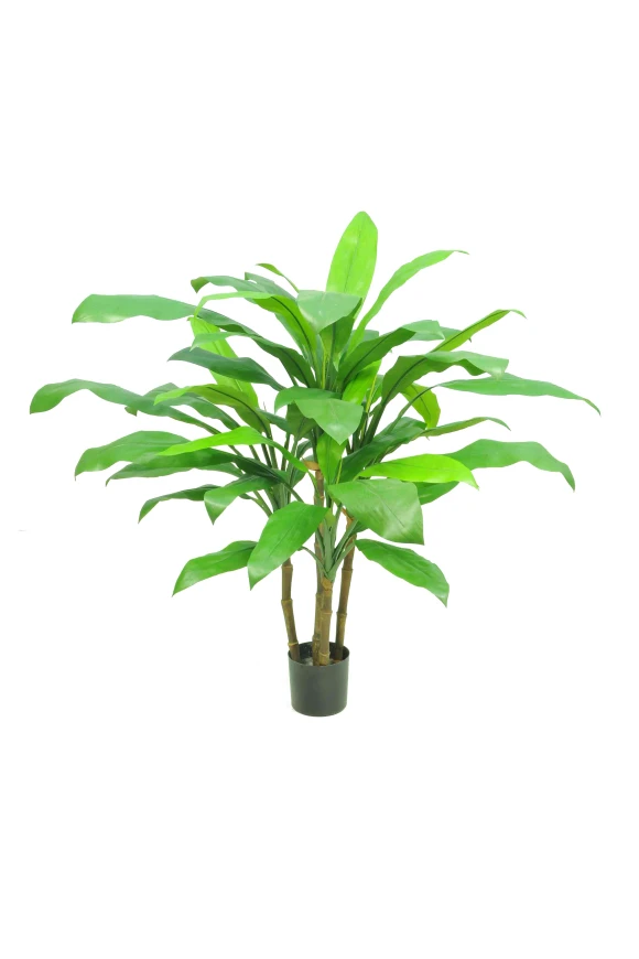 Image of Artificial Cordyline - 60cm