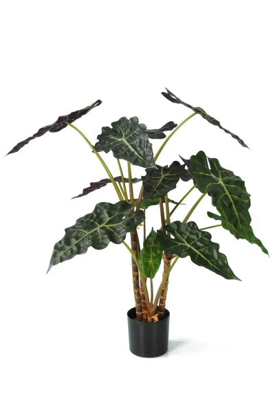 Artificial Alocasia - 80cm