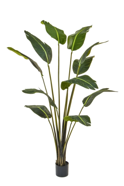 Artificial Traveller Palm - 210cm