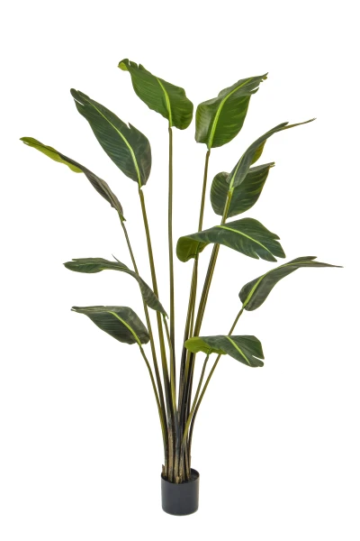 Artificial Traveller Palm - 210cm