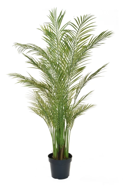 Artificial Areca Palm - 210cm
