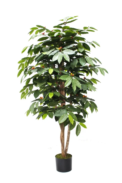 Artificial Coffee Tree - 150cm