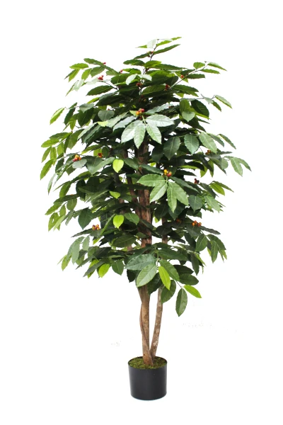 Artificial Coffee Tree - 150cm