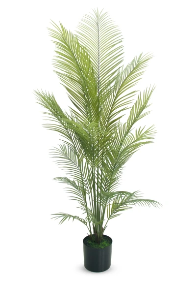 Artificial Areca Palm - 170cm
