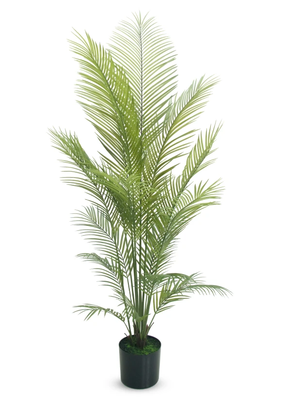 Image of Artificial Areca Palm - 170cm