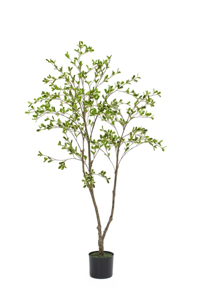 Artificial Bucida Tree - 150cm