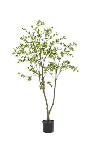 Artificial Bucida Tree - 150cm