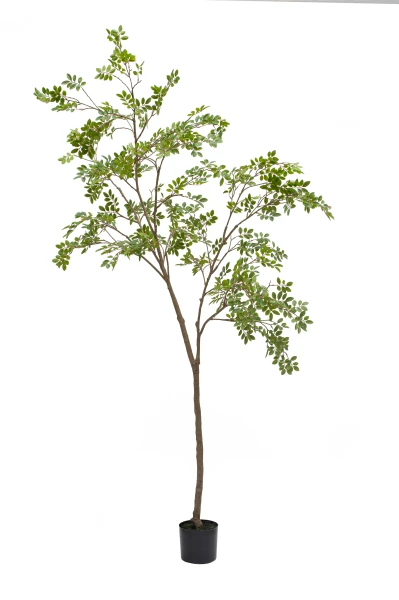 Artificial Elm Tree - 240cm