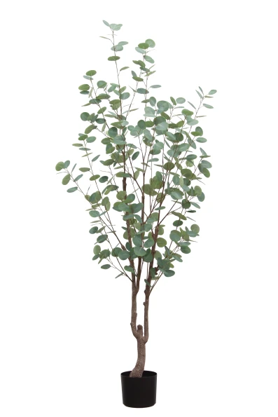 Artificial Eucalyptus Tree - 180cm