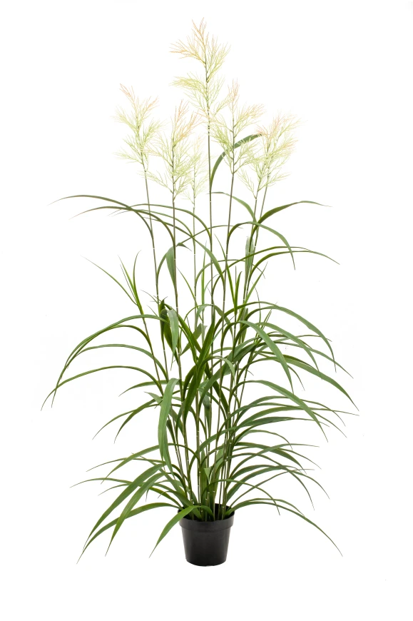 Image of Outdoor Artificial Switchgrass - 150cm