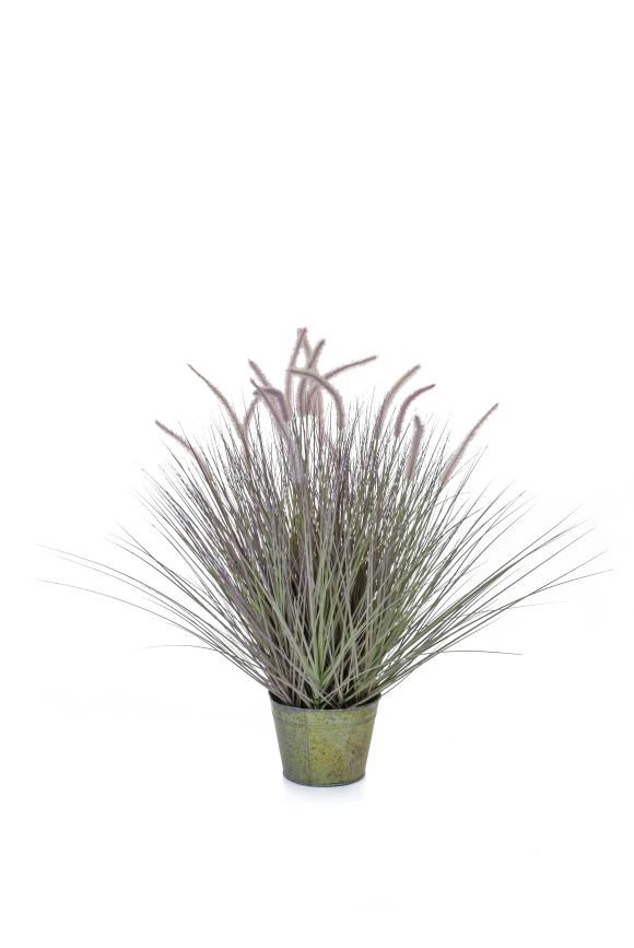 Image of Artificial Dogtail Grass - 97cm