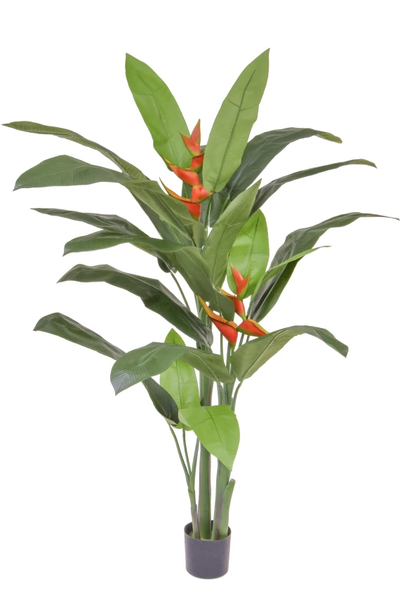 Image of Artificial Heliconia Palm - 170cm