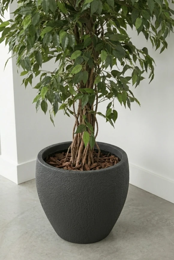 Artificial Ficus Liana in Black Easington Pot - 150cm